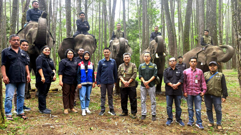 Kawasan konservasi Edukasi Aek Nauli, Sumatra Utara ini menjadi rumah aman bagi tujuh ekor Gajah Sumatera. (Foto: Dok RUZKA INDONESIA)