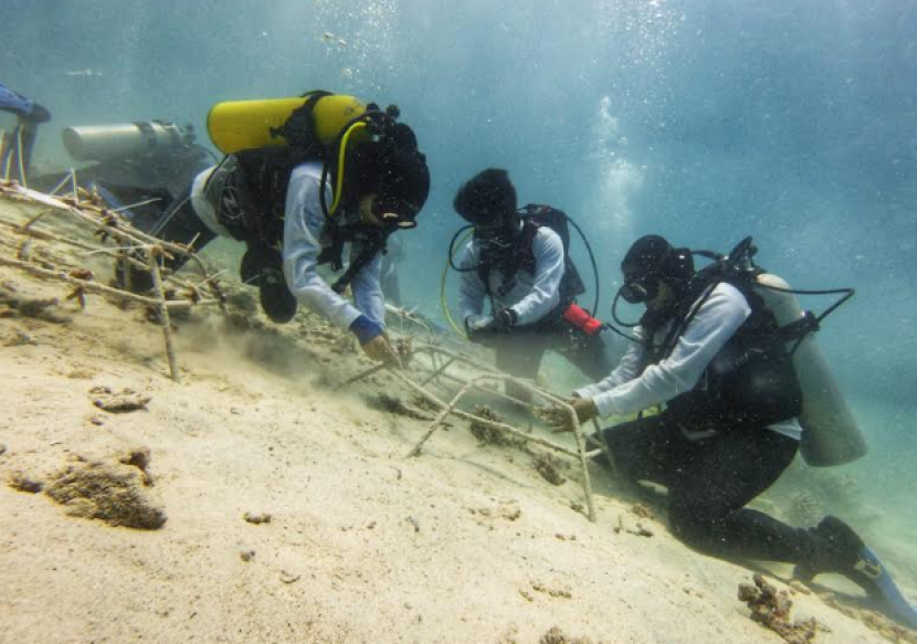 PIS menjaga ekosistem laut Indonesia melalui program CSR Marine BiodiverSEAty. dok PIS