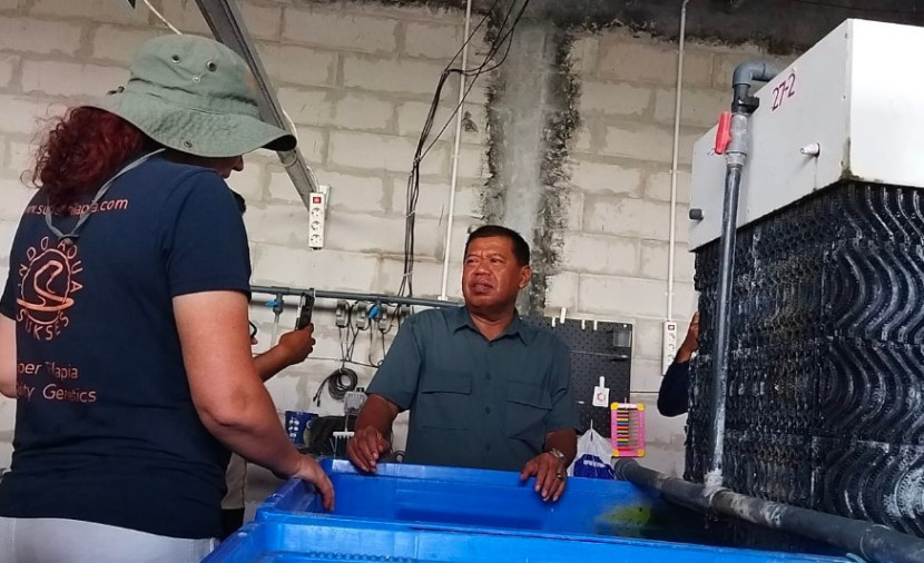Bupati Majalengka, Eman Suherman meninjau langsung proses pembibitan ikan nila di PT IAS Majalengka. (Foto: Dok Eko Widiantoro)