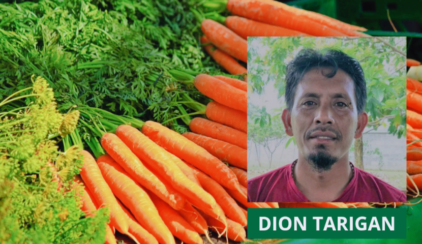 Dok.INTANI