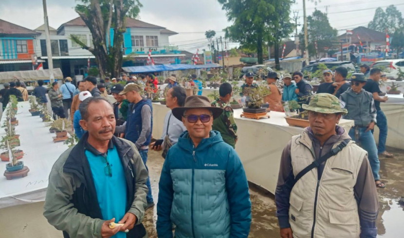 Silaturahmi penggemar bonsai bertajuk “Cikajang Aya Kahayang” Garut Selatan ditandai pameran bonsai di Alun-alun Kecamatan Cikajang. (Foto : Ridwan)