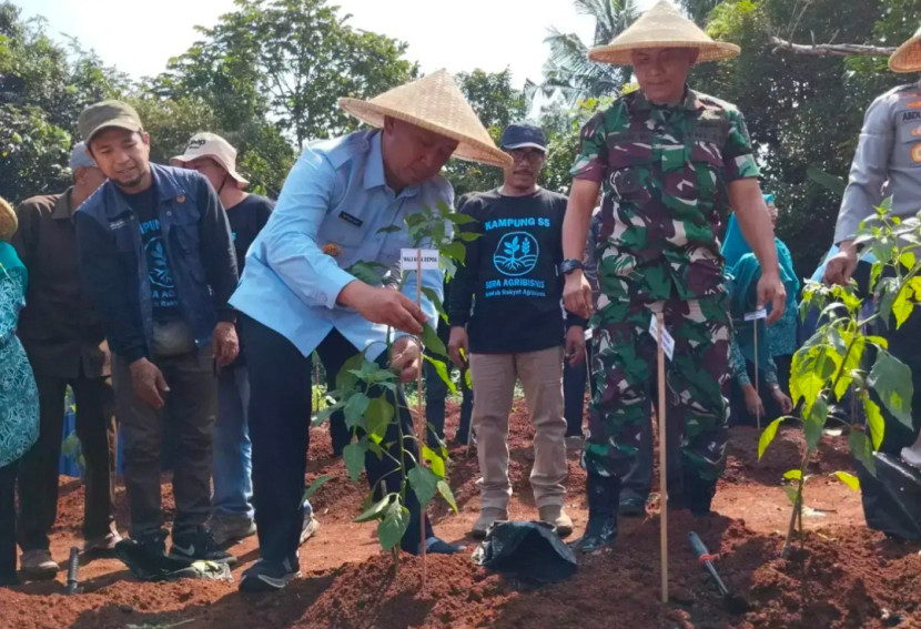 Wali Kota Depok, Supian Suri meresmikan Gerakan Menanam Cabai Serentak. (Foto: Dok RUZKA INDONESIA)