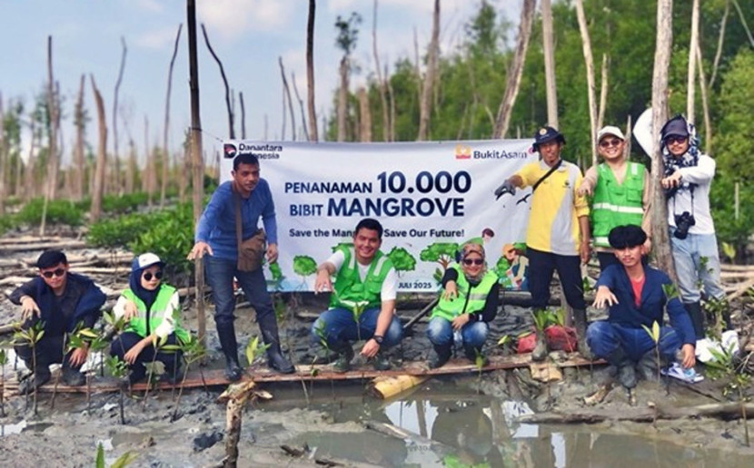 Penamanan bibit mangrove di pesisir pantai Kabupaten Lampung Timur oleh PTBA. (FOTO: Humas PTBA)