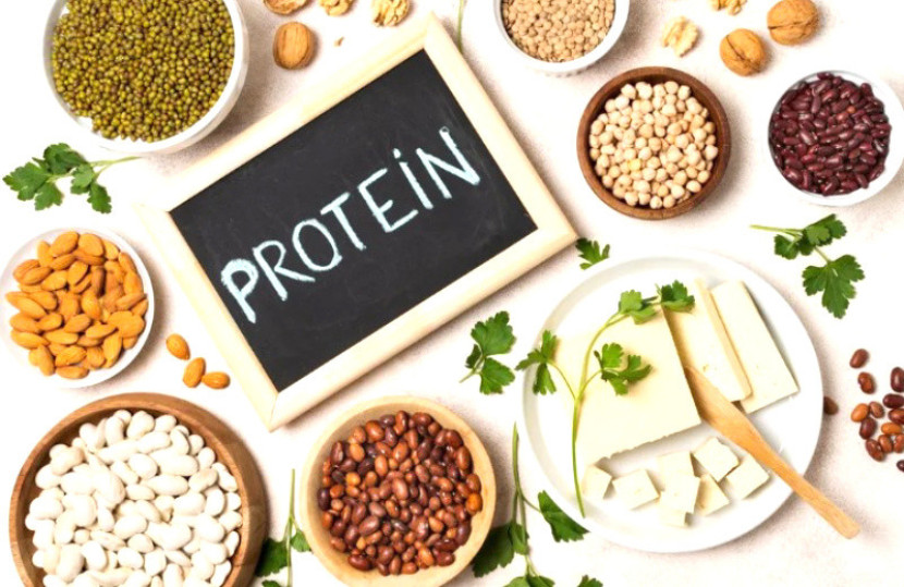 Berbagai macam protein