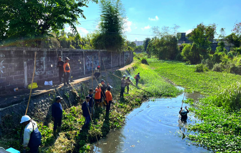 Aksi bersih-bersih Sungai Tambak Oso Surabaya