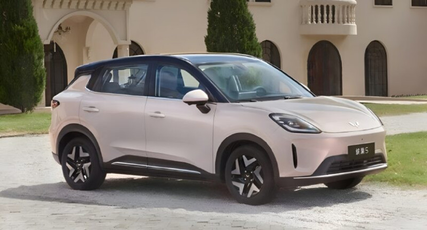  Wuling.