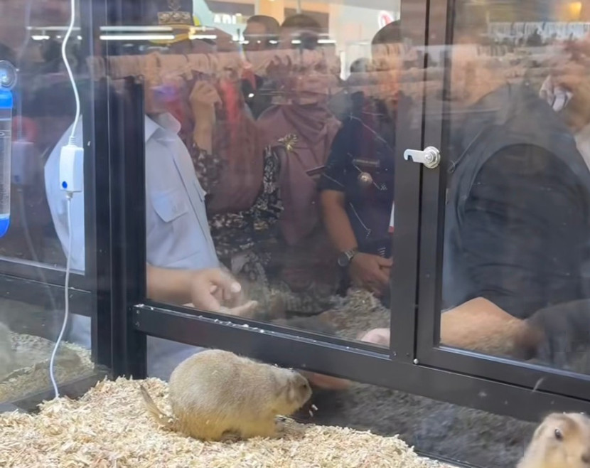 Depok Animal Expo 2025. (Foto: Dok RUZKA INDONESIA) 