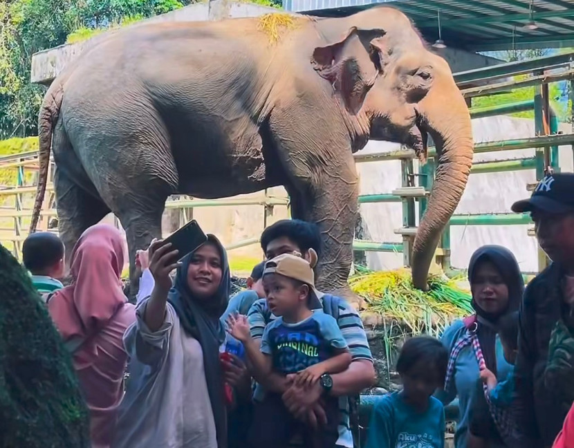 Taman Margasatwa Ragunan Jakarta. (Foto: Dok RUZKA INDONESIA)