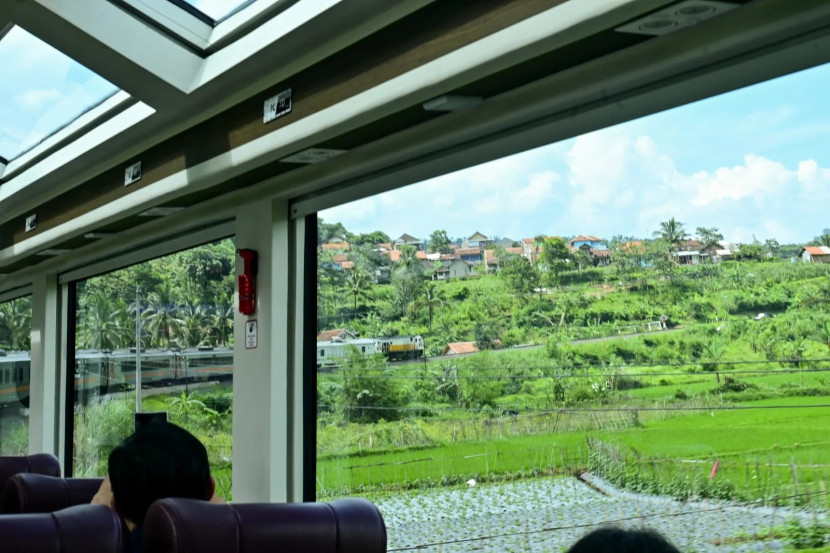 Memandang persawahan dari jendela Kereta Panoramic yang lebar. (Foto: Humas KAI)