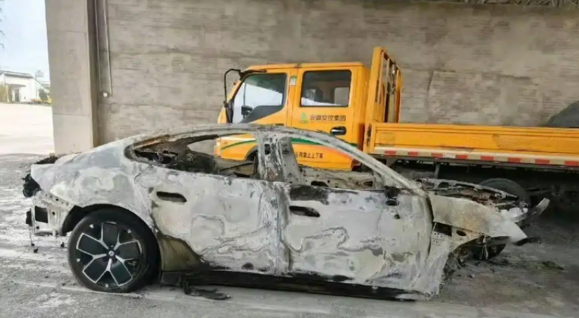 Dok. Carnewschina