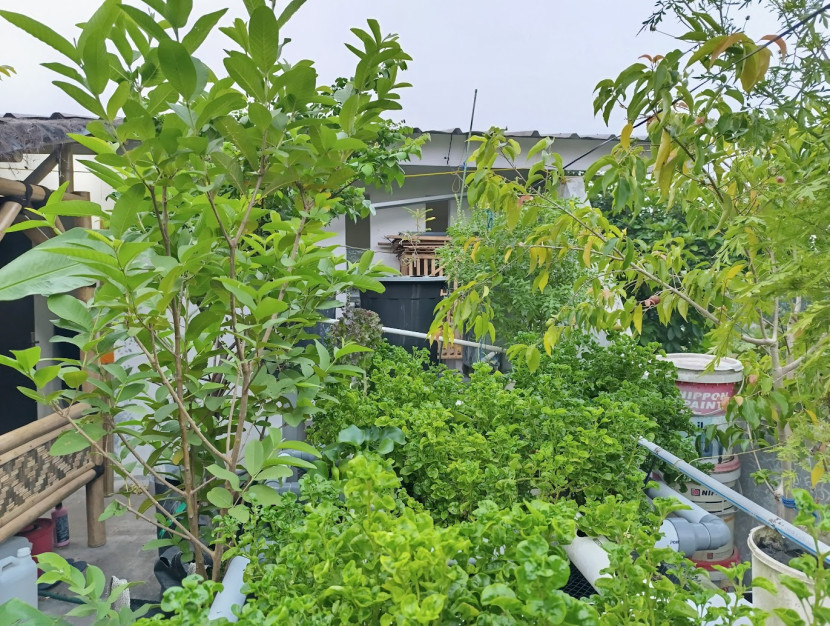 Bumi Langit Jogja: Kisah Inspiratif Permakultur yang Ubah Lahan Gersang Jadi Surga Hijau