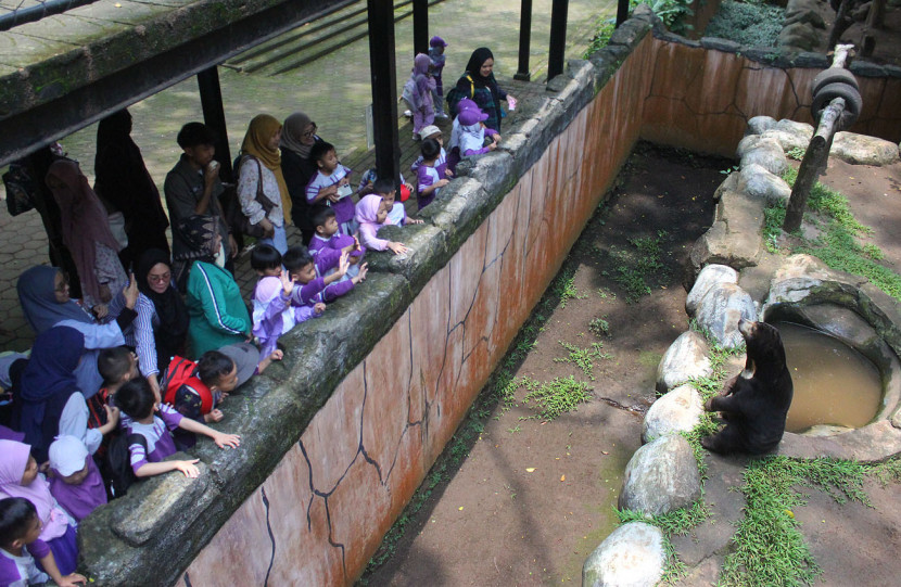 Para pelajar berkunjung ke Bandung Zoo, Kota Bandung, Senin (20/10/2025). Foto: Edi Yusuf