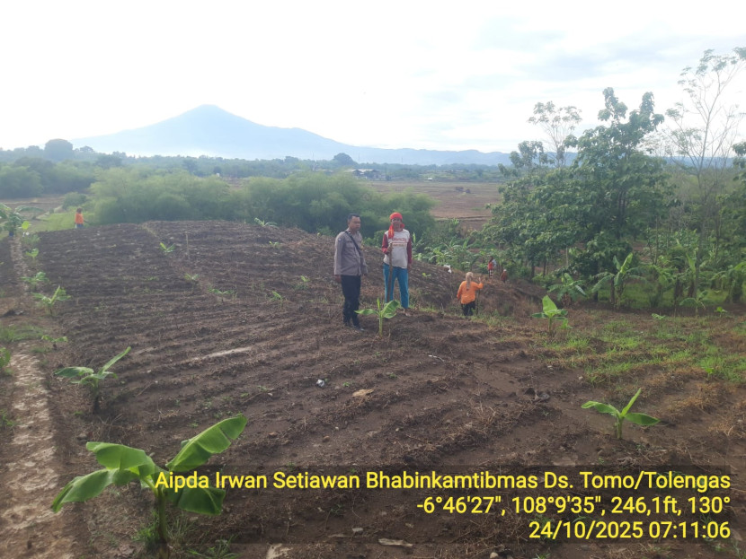 Lahan seluas 5 hektar disulap menjadi kebun jagung untuk program ketahanan pangan. (Foto: Dok Irwan Setiawan)