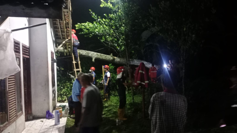 Salah satu titik bencana pohon tumbang di Kecamatan Cikembar, Kabupaten Sukabumi. Istimewa