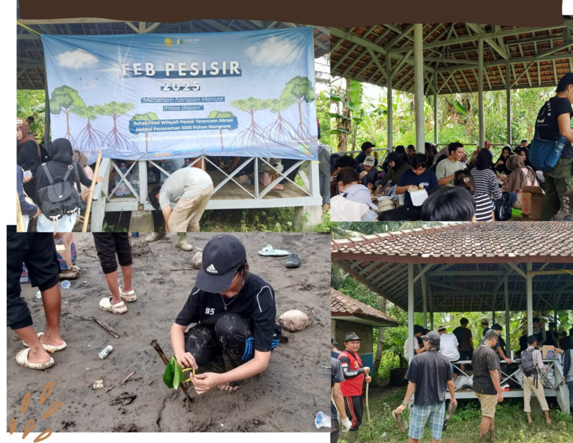 Mahasiswa FEB Unpad Bandung inisiasi Penanaman 1000 Pohon Mangrove di Pantai Leuwi Enis Desa Mandalakasih. (Foto: Dok Ridwan)