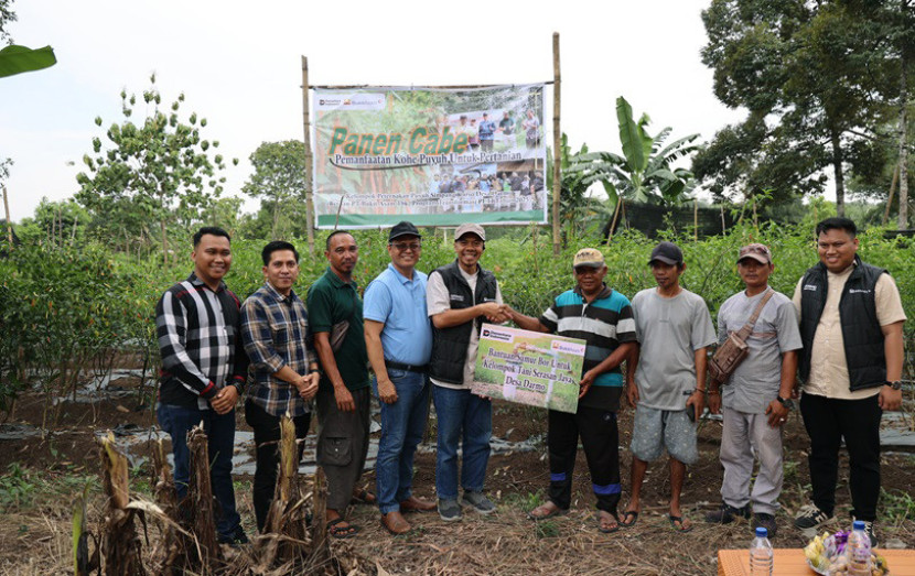 Panen cabai setan dengan pupuk kohe binaan PTBA di Desa Darmo. (FOTO: Humas PTBA)