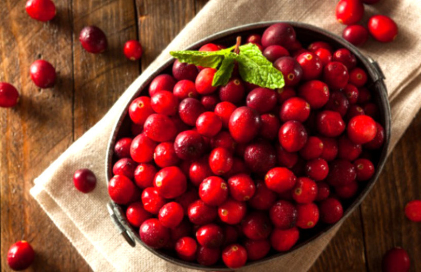 Cranberry Bisa Membantu Meningkatkan Daya Ingat Pada Lansia