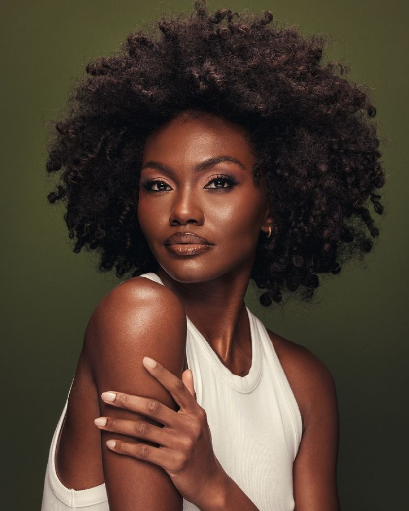 Best afro human hair wigs