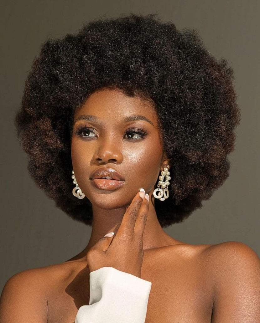 Afro Kinky Curly Wigs