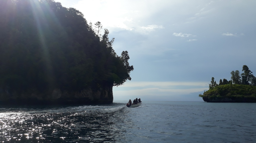 Perahu mesin pengunjung melintas di antara dua pulau karang di Teluk Nusalasi - Van Den Bosch, Fakfak.