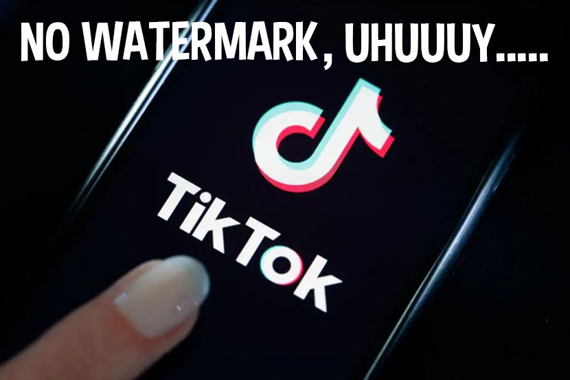Download video TikTok tanpa watermark bisa mudah dan gratis. Ilustrasi