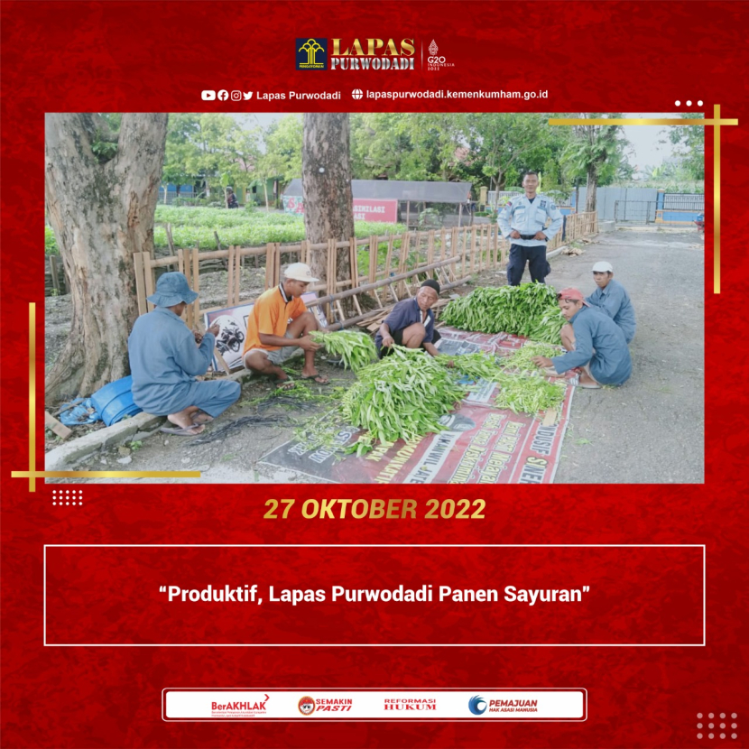 Produktif Lapas Purwodadi Panen Sayuran 6789