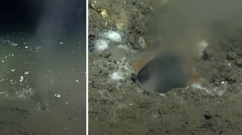 Cairan yang menyembur dari dasar laut di lepas pantai Oregon berasal dari zona subduksi Cascadia. Gambar: Universitas Washington