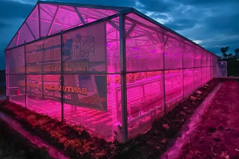 Green house kebun hidroponik yang dilengkapi sinar ultra violet (UV) untuk membantu proses fotosintesis. Foto: web.pln.co.id/
