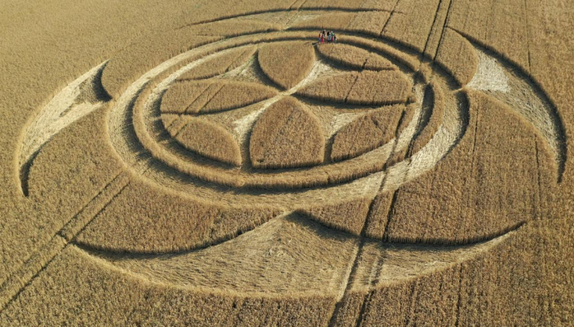 Crop circle yang muncul di Prancis pada Juli 2020. Hampir Semua Crop Circle Punya Karakteristik Ini Sumber: Newshub