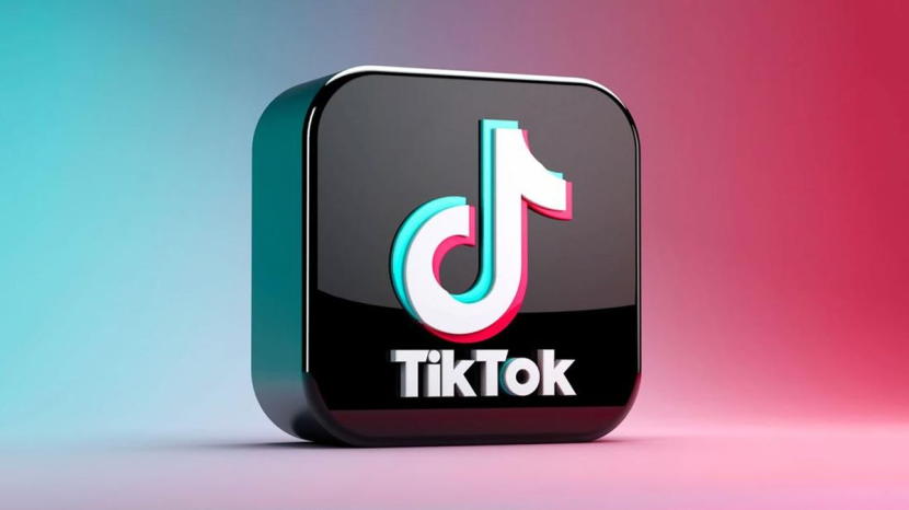 SnapTik.App. SnapTik.App merupakan salah satu situs untuk mendownload video TikTok. Foto: IST