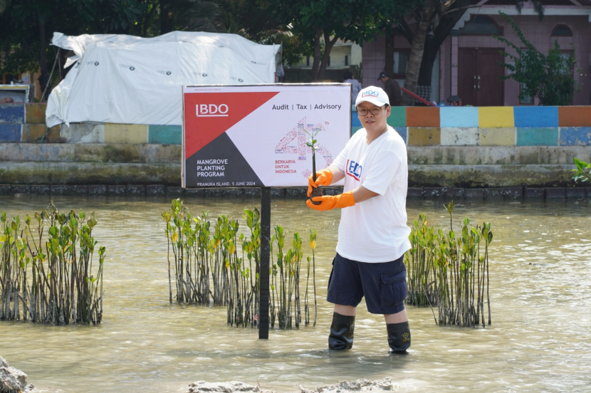 CEO BDO di Indonesia, Thano Tanubrata, saat melakukan penanaman pohon mangrove di Perairan Tanjung Elang, Pulau Pramuka, Taman Nasional Kepulauan Seribu, DKI Jakarta, Rabu (5/6/2024). (Foto: BDO di Indonesia)