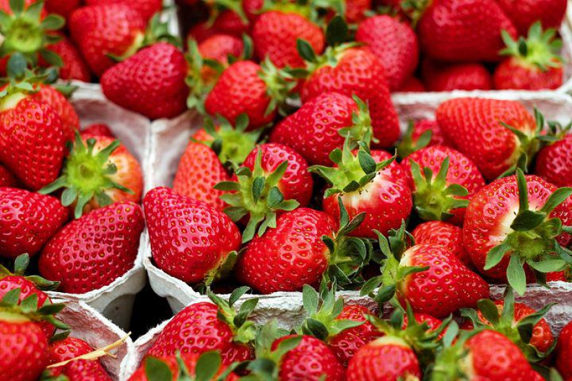 Manfaat strawberry bagi kesehatan tubuh