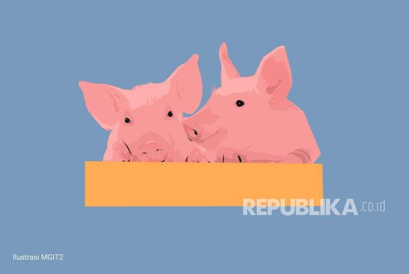 Ilustrasi daging babi. Restoran Mamma Rosy menyajikan pasta daging babi ke pelanggan Muslim yang memesan daging sapi. Foto: Republika