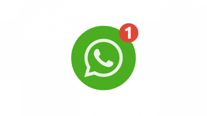 Privacy Extension Whatsapp Web, Agar Data WA Lebih Aman