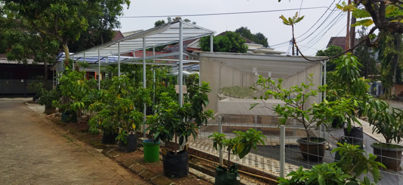 Pagertani Farm kebun urban farming dibangun ditengah komplek perumahan di kawasan Kota Depok Jawa Barat