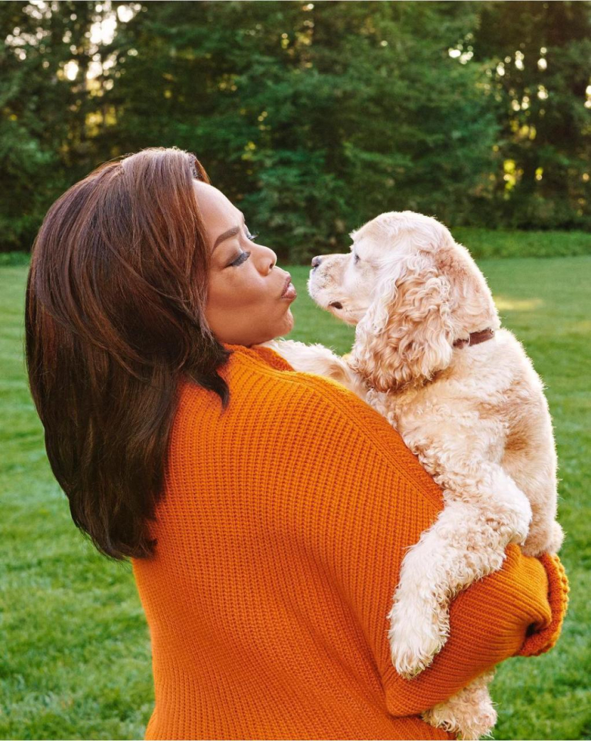 Anjing Sadie dan Oprah Winfrey.