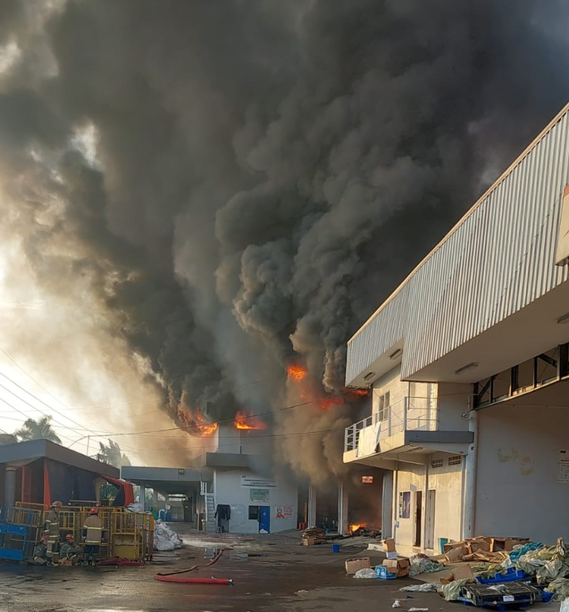  Gudang JNE di Jalan Pekapuran, Kota Depok, Jawa Barat terbakar pada Senin (12/9) terbakar pihak mamajemen JNE akan bertanggungjawab. Foto: Dok. Dinas Pemadam Kebakaran Kota Depok. 