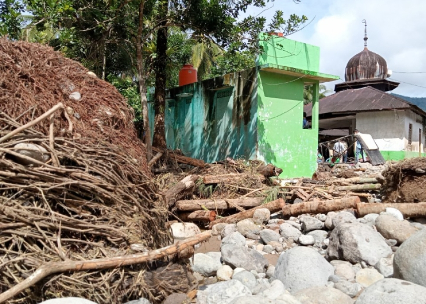 Akar pohon kelapa yang terbawa arus (kiri) tersangkut di batu sungai.