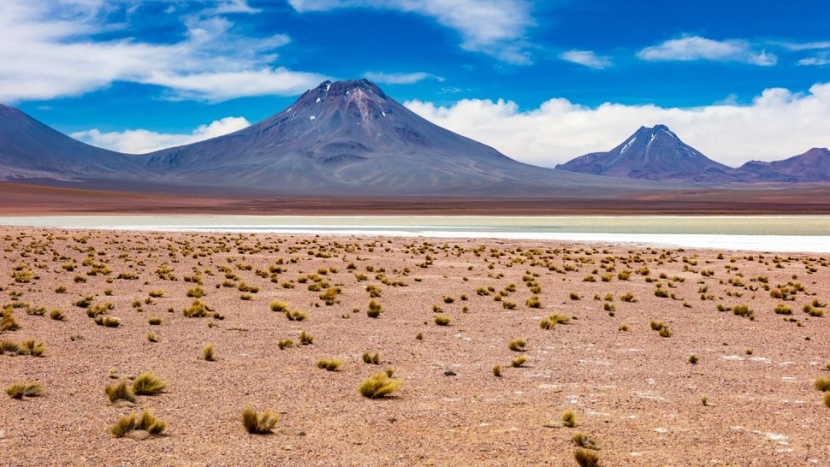 Gurun Atacama adalah rumah bagi mikroba ekstrem yang hampir tidak memerlukan air untuk bertahan hidup. Gambar: Getty Images