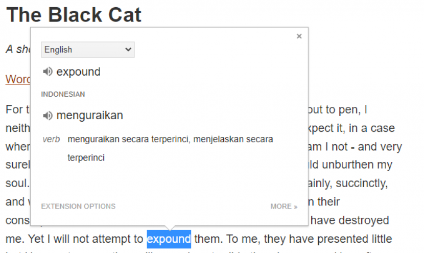 Google Translate Extension. Menerjemahkan satu kata. Foto: Tangkapan layar.