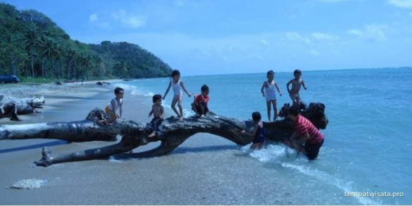 Pantai Mayangkara di Pulau Bawean (Foto: Disparbud Gresik)