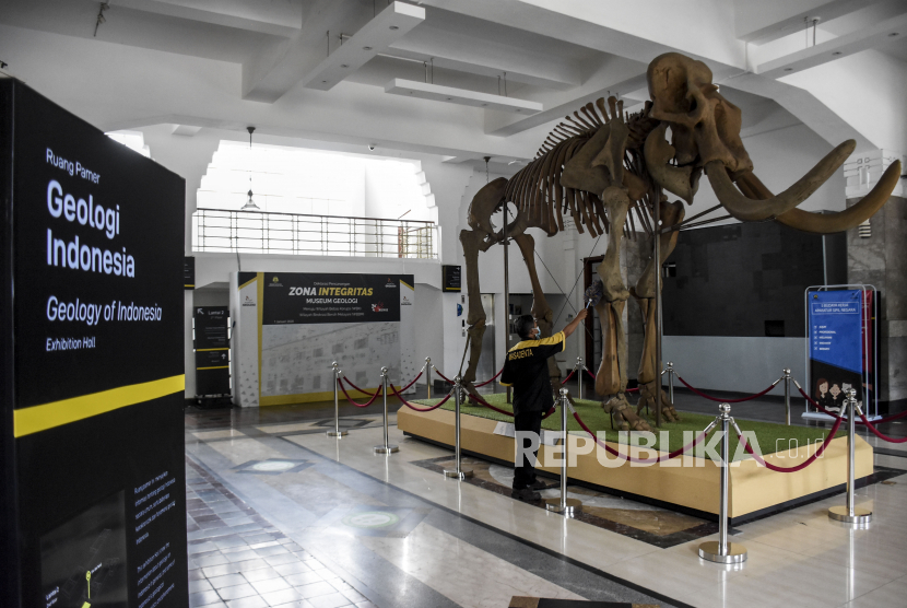 Fosil Mamut di pintu masuk museum. Foto: Republika.