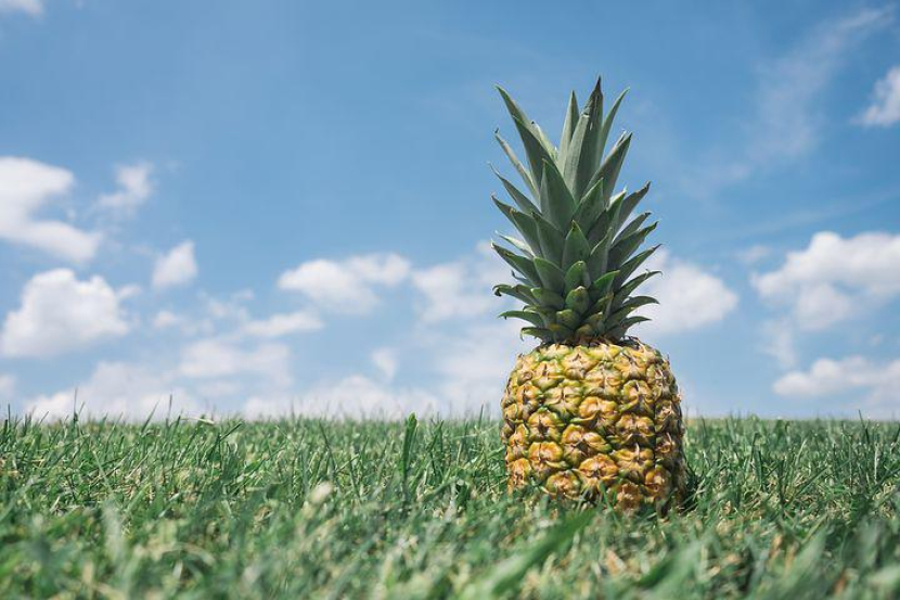 Pixabay/Pineapplesupplyco