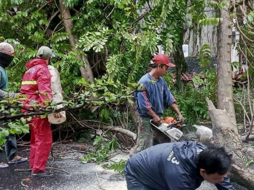 Petugas memangkas pohon di sejumlah titik/Humas Kota Bandung