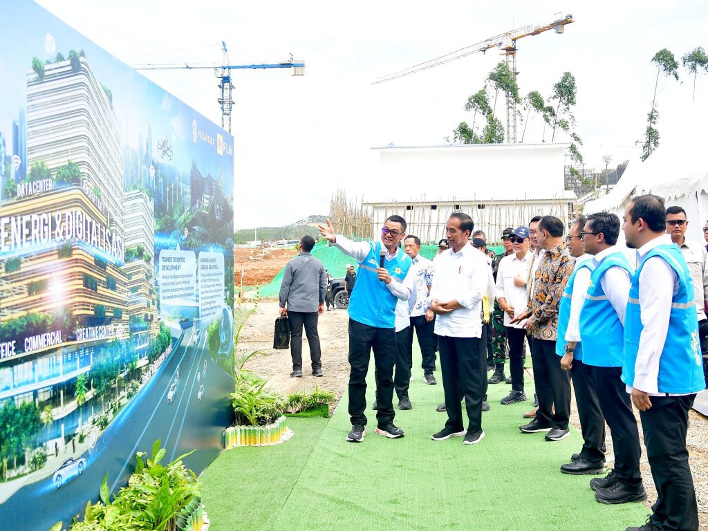 Presiden Jokowi Dorong Pengembangan Energi Hijau di IKN