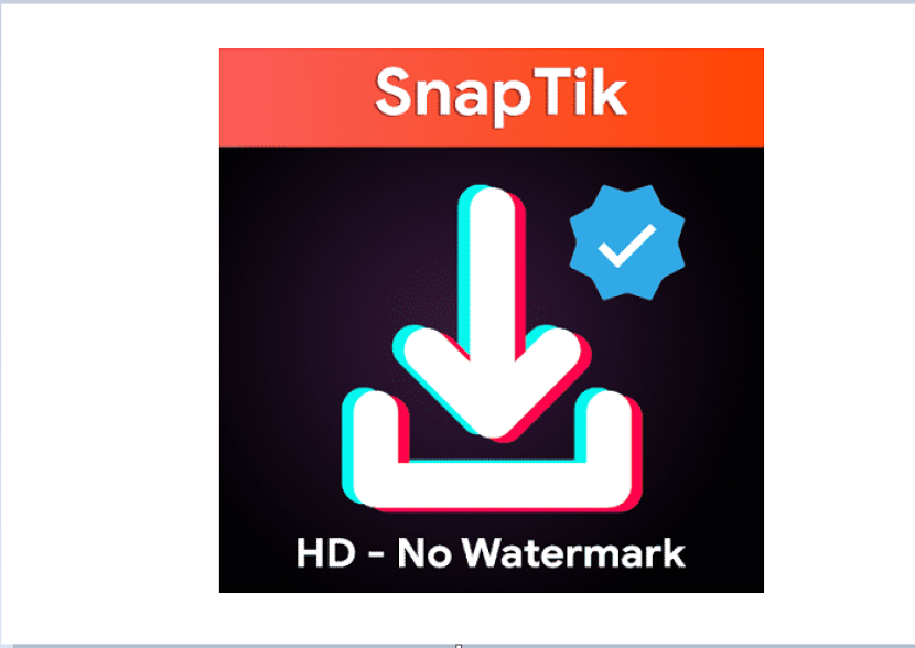 SnapTik.App. SnapTik.App merupakan salah satu situs untuk mendownload video TikTok. Foto: IST