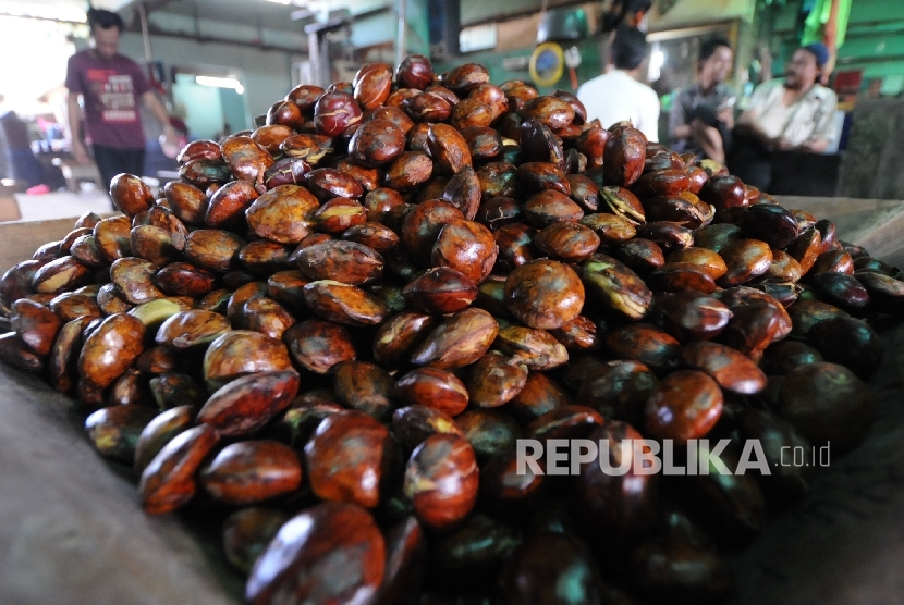 Buah jengkol bisa diolah menjadi sambal goreng, dimasak semur jengkol, dan bisa juga sebagai bahan lalapan sambal. Jengkol Bisa Cegah Osteoporosis, Ini Cara Membuat Sambal Mercon Jengkol. Foto: Dok. Republika