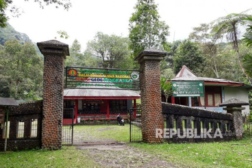 Resor Selabintana di kawasan Taman Nasional Gunung Gede Pangrango (TNGGP). Wow, Surken Penuh! Ini Penampakan Ratusan Tenda di Alun-Alun Gunung Gede. Foto: Republika/Riga Nurul Iman