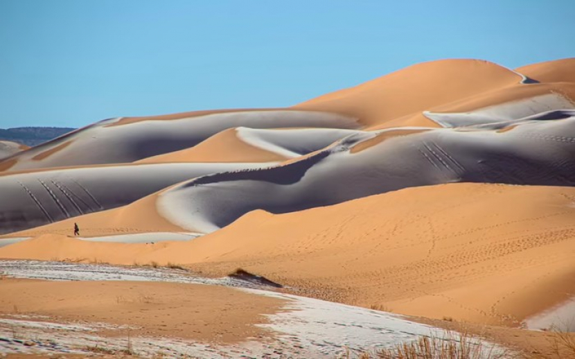 Salju menyelimuti pasir di Gurun Sahara (Foto: Karim Bouchetta/Daily Mail)