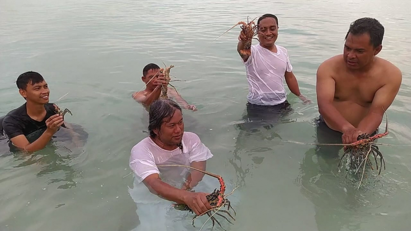 Gus Muwafiq menangkap udang lobster